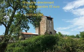Chateau des Pyrenees